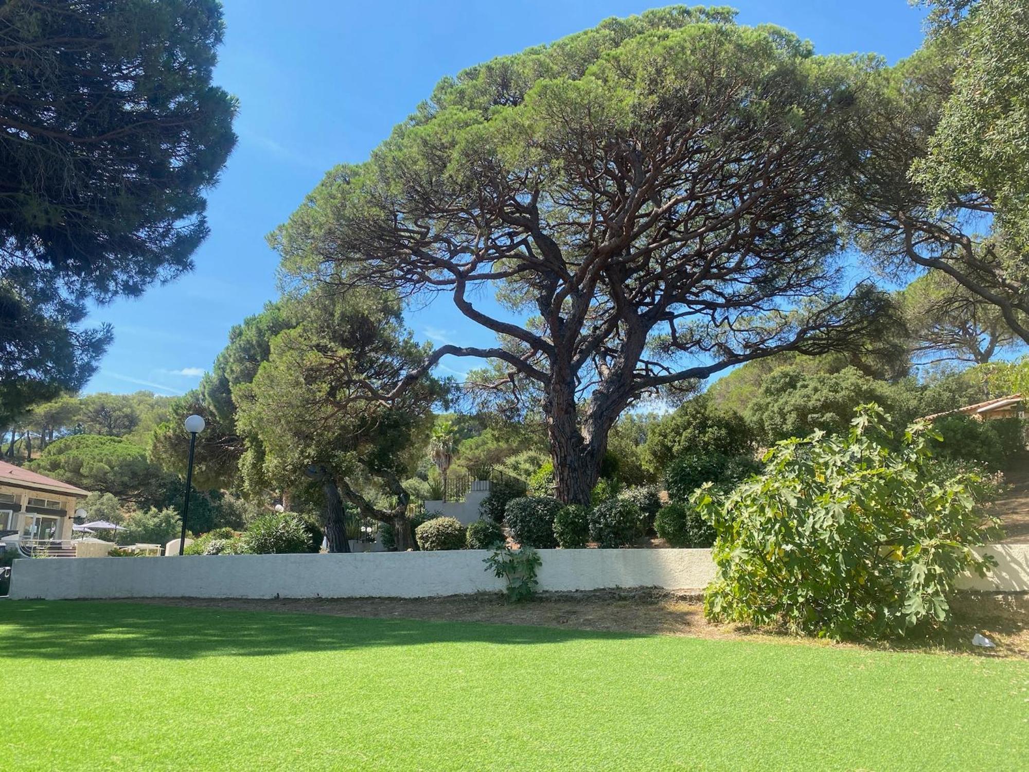 La Joya De Villepey Saint Aygulf Bagian luar foto